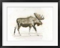 Framed Dark Moose