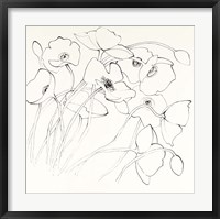 Framed Black Line Poppies II