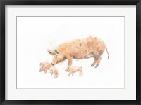 Framed Pig and Piglet
