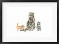 Framed Cat and Kittens