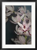 Framed Dark Orchid II