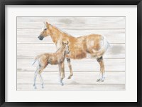 Framed Horse and Colt on Wood