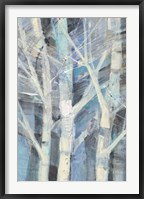 Framed Winter Birches I