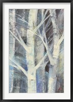 Winter Birches II Framed Print