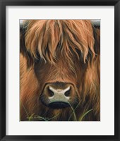 Framed Cow Portrait
