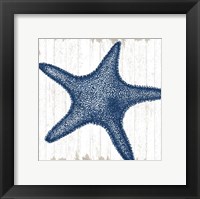 Framed Seaside Starfish