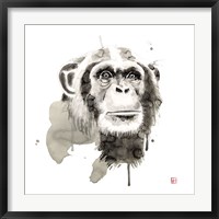 Framed Chimp