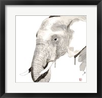 Framed Elephant