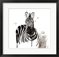 Framed Zebra I