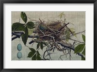 Framed Nesting I