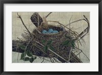 Framed Nesting II