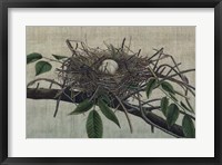 Framed Nesting III