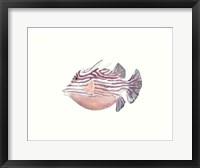 Framed Watercolor Tropical Fish II