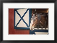 Framed Patriotic Pony I