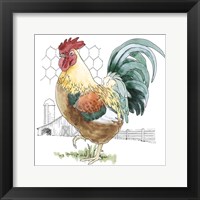 Fun at the Coop V Framed Print