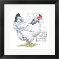 Fun at the Coop IV v2 Framed Print