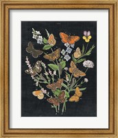 Framed Butterfly Bouquet on Black I