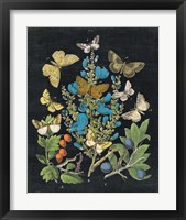 Framed 'Butterfly Bouquet on Black II' border=