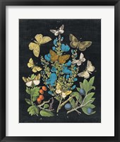 Framed Butterfly Bouquet on Black II