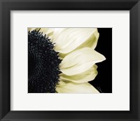 Splashes of Blonde Framed Print