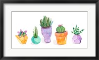 Succulent Display II Framed Print