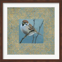 Framed Sparrow