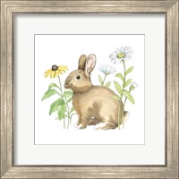 Framed 'Wildflower Bunnies II Sq' border=