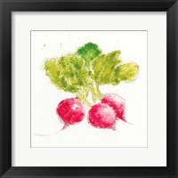 Garden Delight X Framed Print