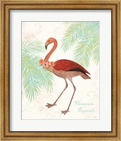 Framed 'Flamingo Tropicale II' border=