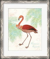 Framed 'Flamingo Tropicale II' border=