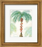 Framed 'Flamingo Tropicale III' border=