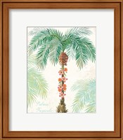 Framed 'Flamingo Tropicale III' border=