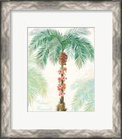 Framed 'Flamingo Tropicale III' border=