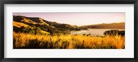 Framed Akaroa Harbour, Banks Peninsula, New Zealand