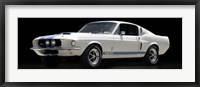 Framed Shelby GT500