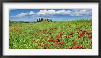 Framed Farm House with Cypresses and Poppies, Tuscany, Italy