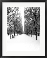 Framed Tuileries Garden under the Snow, Paris