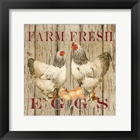 Framed Farm Fresh Eggs II