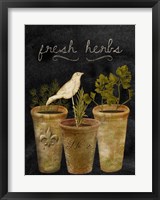 Framed Fresh Herbs