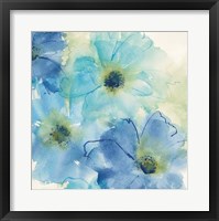 Seashell Cosmos II Framed Print