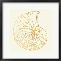 Coastal Breeze Shell Sketches VII Framed Print
