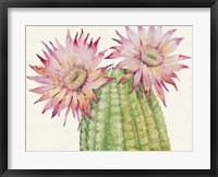 Desert Blossoms II Framed Print