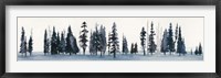 Sapphire Grove II Framed Print