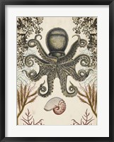 Antiquarian Menagerie - Octopus Framed Print
