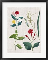 Floral Assemblage III Framed Print