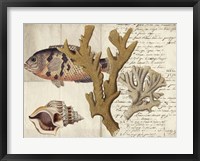 Sealife Journal I Framed Print