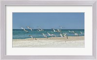 Framed Beach Skimmers