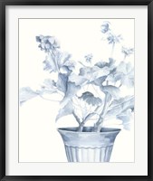 Framed Blue Geranium II