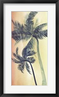Framed Vintage Palms I