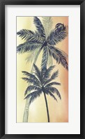 Vintage Palms II Framed Print